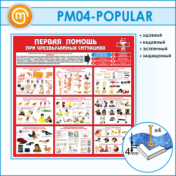       (PM-04-POPULAR)
